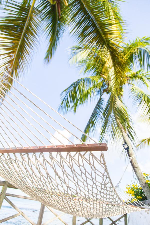 Hotel Recif Attitude (adults Only) 3*